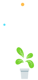 image-here